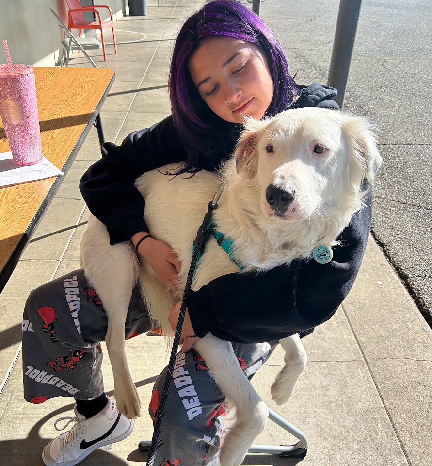 Student smiling and hugging a large white dog outdoors.