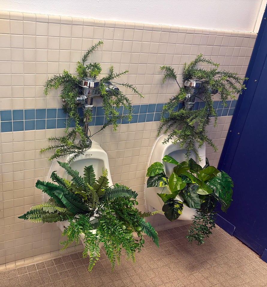 Indoor greenery and plants in hallway common area.