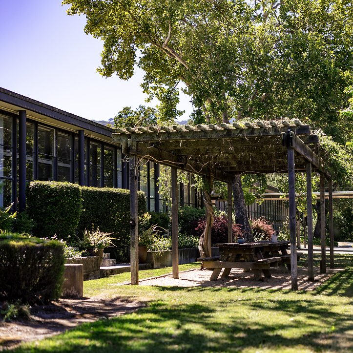 Outdoor campus area with shaded seating and greenery at Hanna Academy