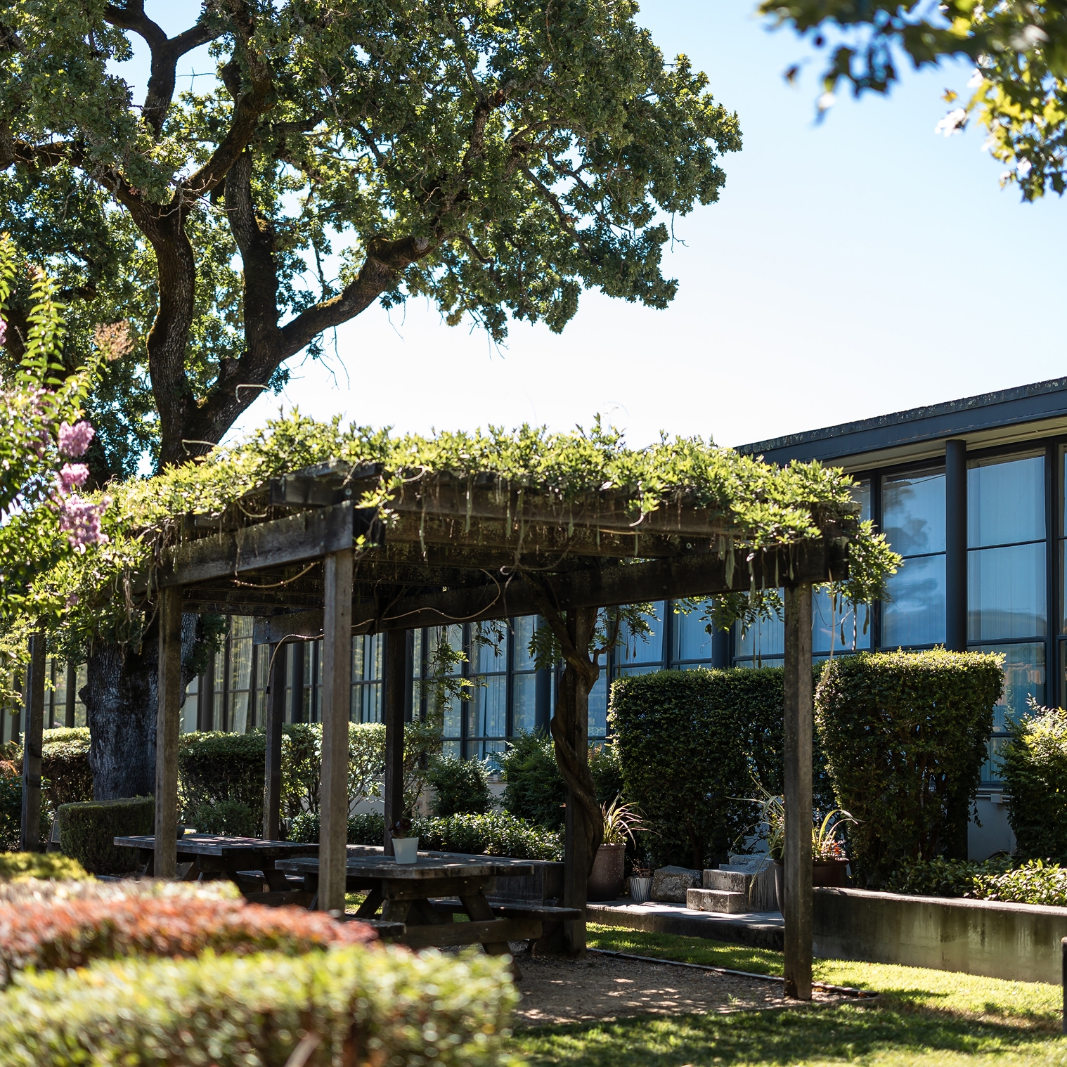 Shaded outdoor seating and trees on Hanna Academy campus.